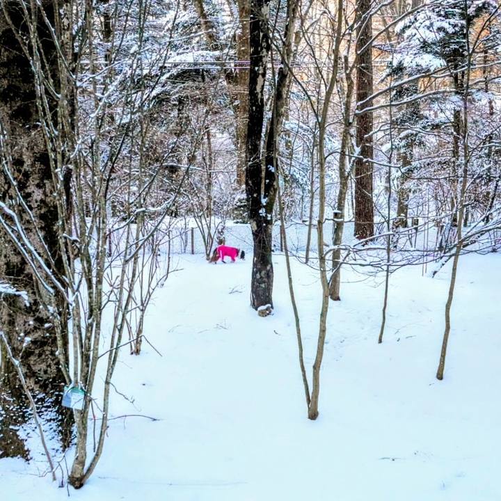 18a47970 ce11 4207 859d dcc59e95e2fd 1768219652783