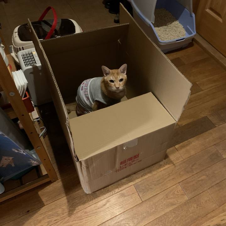 18a4aed8 bf1c 44f1 a41a e1ec4a24971e 1601118505154