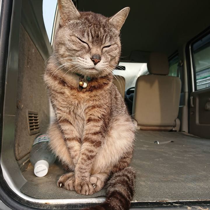 18a4d3eb e7cd 4379 a0b2 970af7b8b194 1559681239582