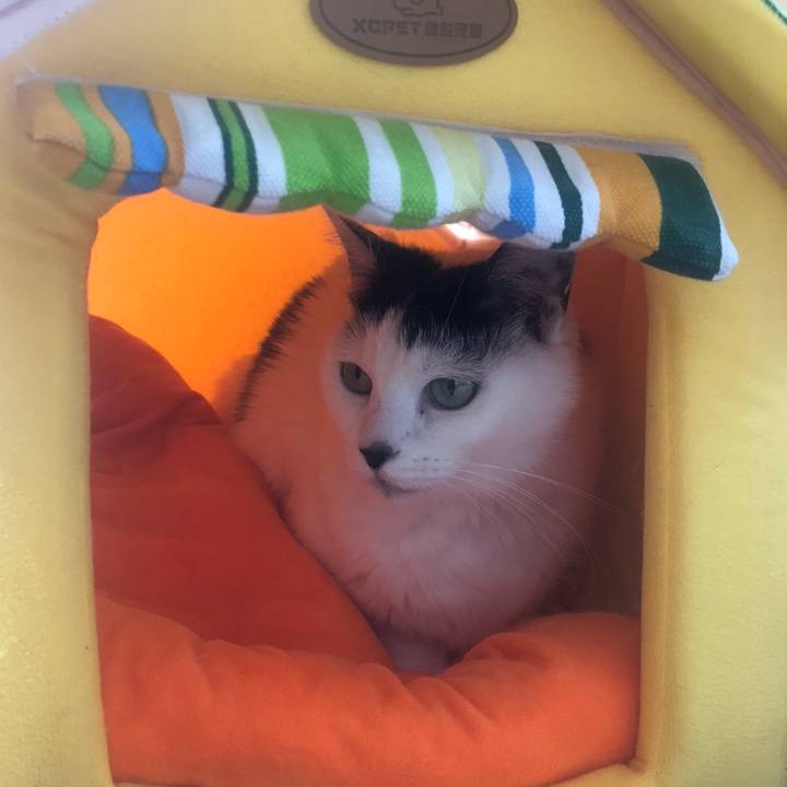 18a50ce3 1a03 4c6d a951 acdc13235818 1604487041752