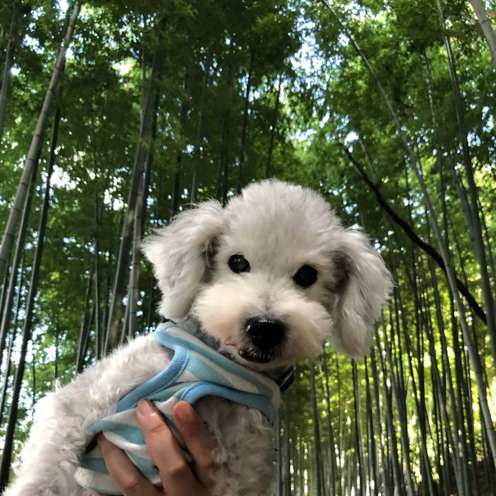 18a517e7 9ef5 42ce b36a 61b4ea4899fe 1633861450454