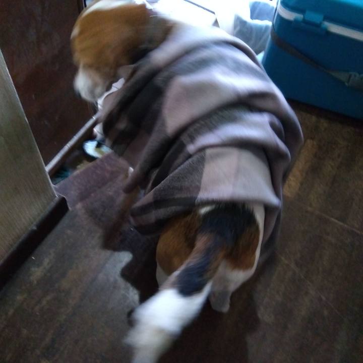 18a533c4 1081 480c bf7a ab69466f3e44 1698143745837