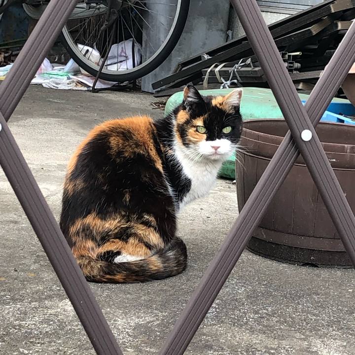 18a59876 dd28 4a5c 9fb0 ced9b1dd1b80 1555115133093