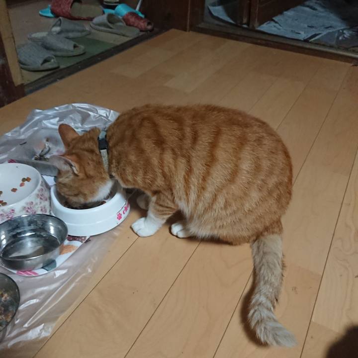 18a59925 58d3 4c6c a19b 903169977a57 1596923300347