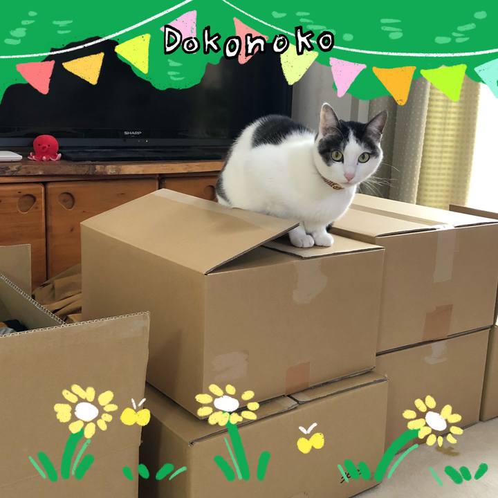 18a5c21d 449f 4634 8ce6 3a3aa82b0542 1711460827883