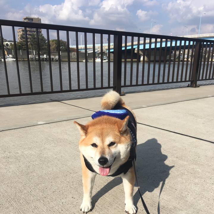 18a5cf07 6e5b 4746 a0b3 ede285ca5445 1572499725404