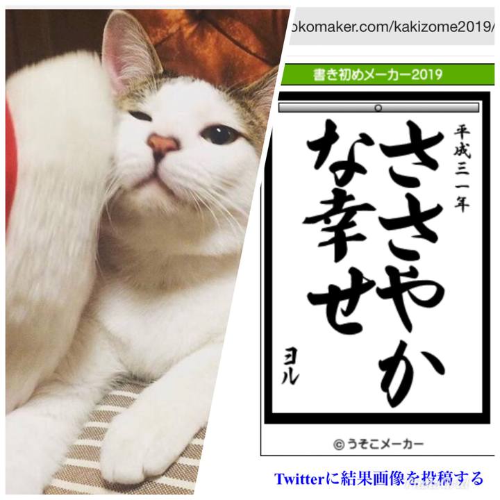 18a5dc41 f7cd 4c2e 9a30 8d5970857ec2 1546348973771