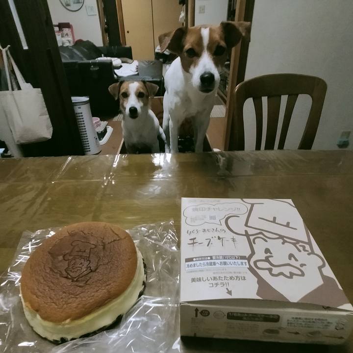 18a62ca1 d705 43bb a095 3582b5dd7142 1762845360872