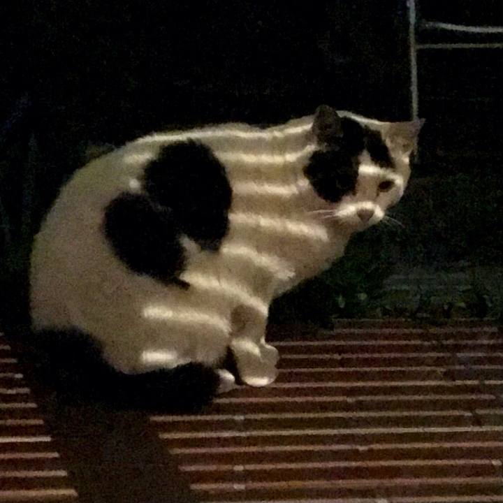 18a6ecc9 4347 4c5a b334 3223e4143892 1609059298059