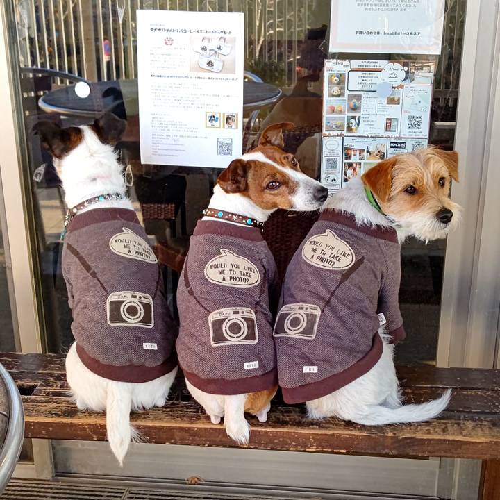 18a6fbf3 1375 41fe 8acf bfc23194d339 1670492111322