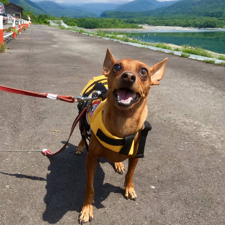 18a7224b 3081 440e 8e32 13dffa9df2b5 1563713859621