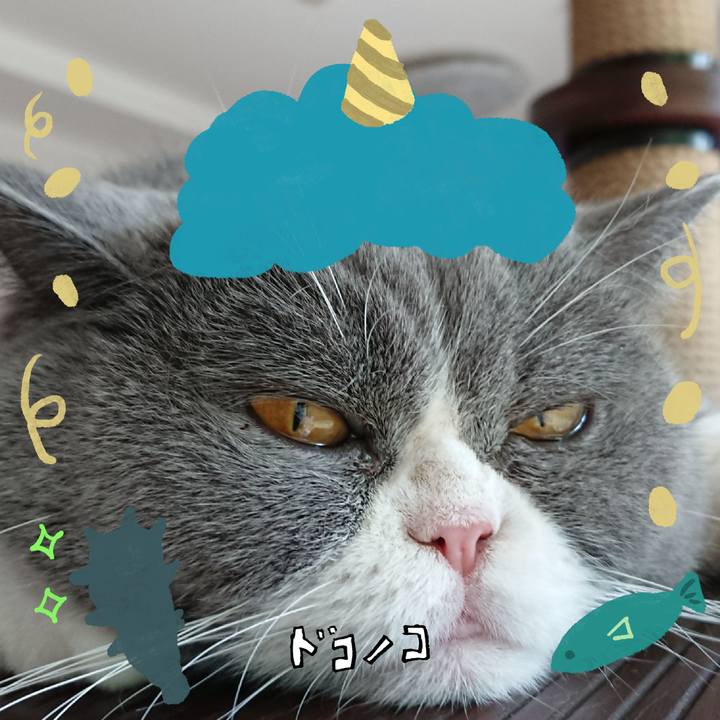 18a756d6 950f 4eb2 b458 ad6b876800cd 1706857015234