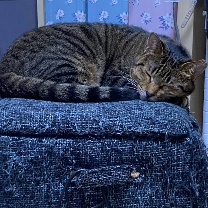 18a772a6 6f21 4dd8 9090 221515ad4adb 1661943046268