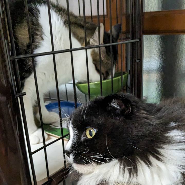 18a7789c 94f2 4772 bbbb d3ff25d01ce2 1681819538727