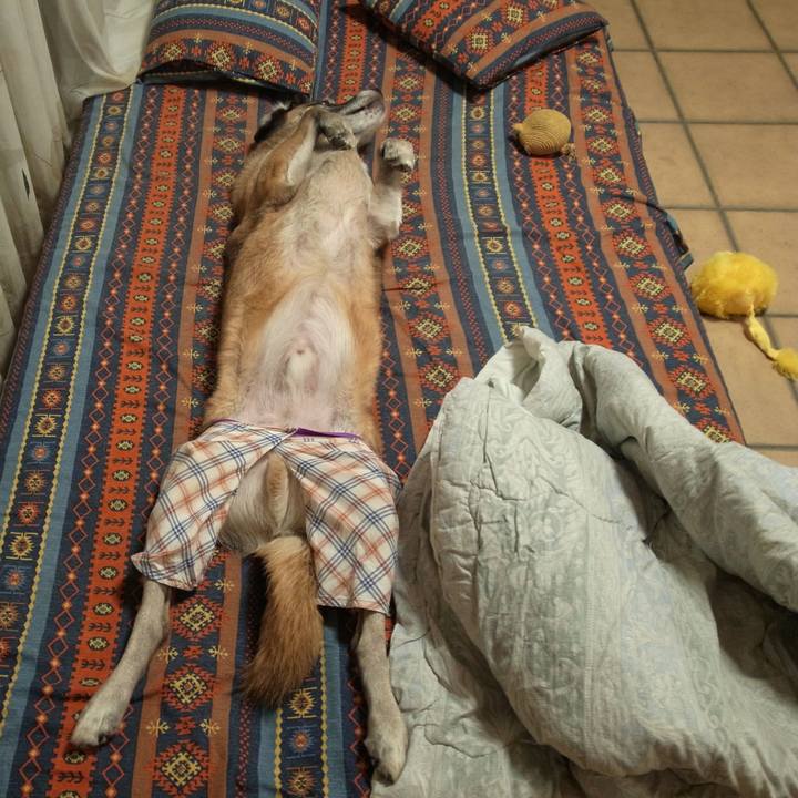 18a7b80d a00c 4258 844a 957bc8018522 1583022780311