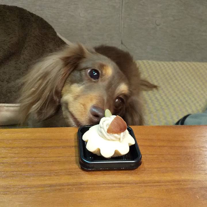 18a7cb9a aae8 4d8a 8f61 974845c36bd1 1577282736690