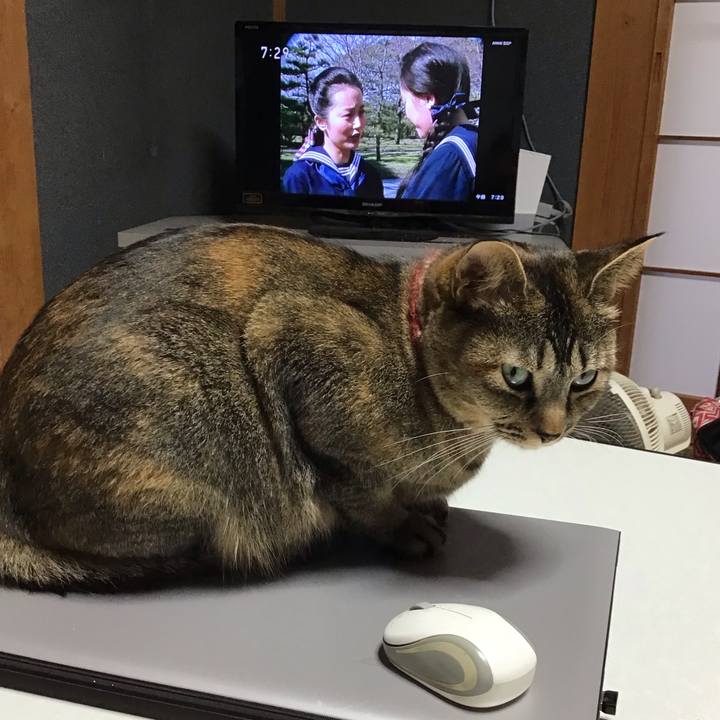 18a830c0 4a44 4ff6 9026 449dc1d218b2 1633047355605