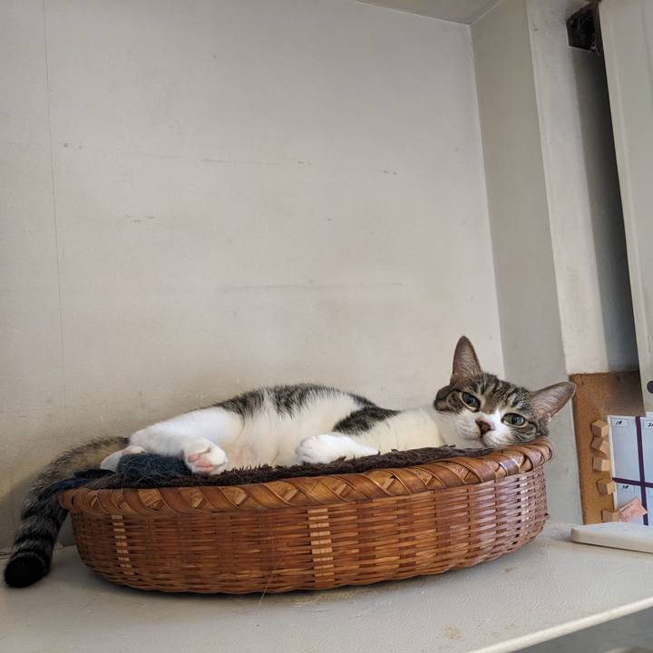 18a83c30 8505 4593 8f69 fc5f9b109374 1757803511111