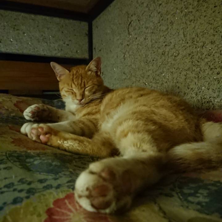 18a84367 f927 496b 9bd2 159fb2ff59f9 1595768961330