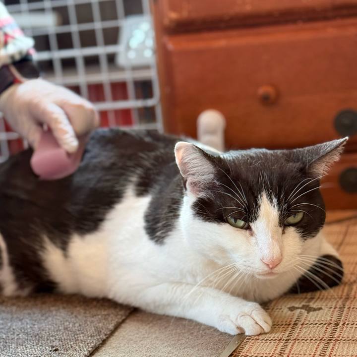 18a8c94b 20eb 4b19 a438 4a3ea1ba9d10 1743300617966