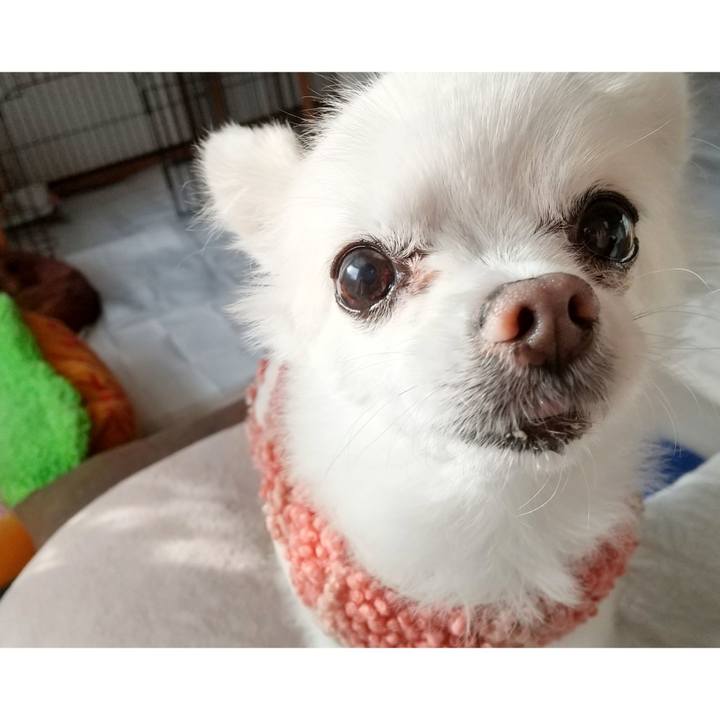 18a8e0fd 250c 41a1 bea9 bcce55e1a27f 1674127778307