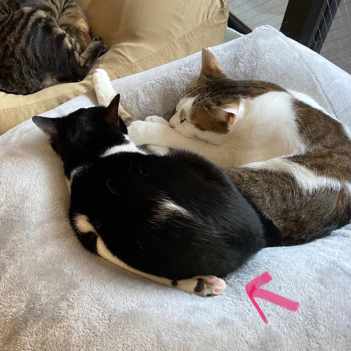 18a8e7bd 7b5b 497c a837 bdceed8344f9 1642406970718