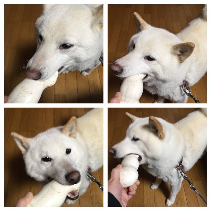 18a90bba 19bc 475d 878e 5dc78b461ce3 1548660812599