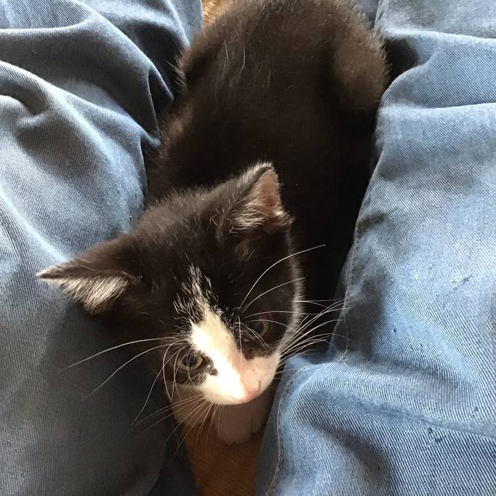 18a938d7 15a2 4aaa a23c 7a0e8de8db85 1624327263466