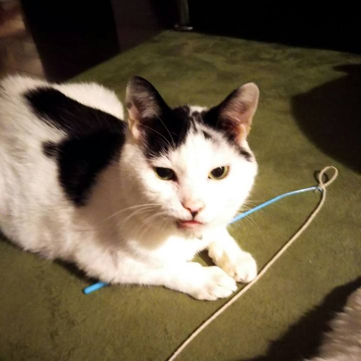 18a962bc b279 4443 8877 590aa9731923 1577188043076