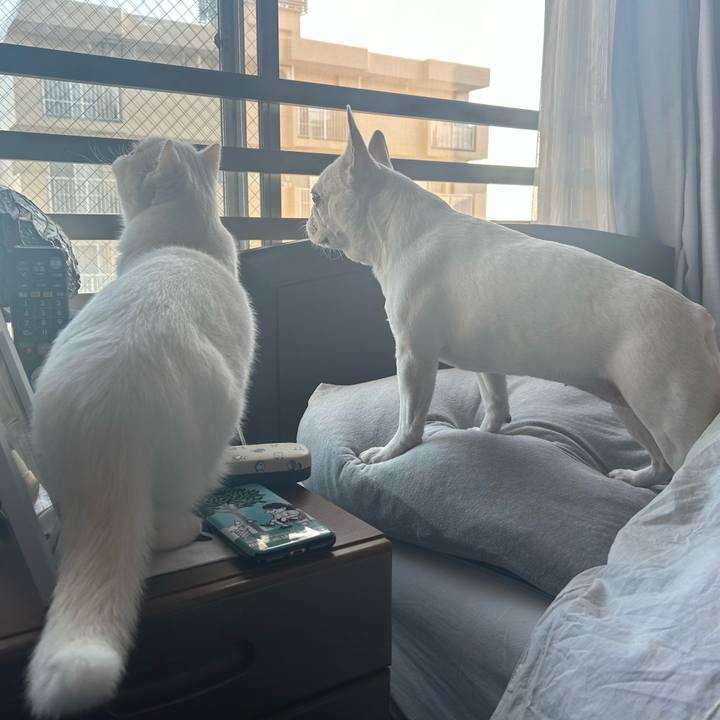 18a97631 f43c 4820 b677 a7b4ba95e965 1697670563964