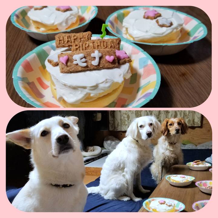 18a98a6d 0e92 4211 b15b 06d570ea1a54 1650722684387