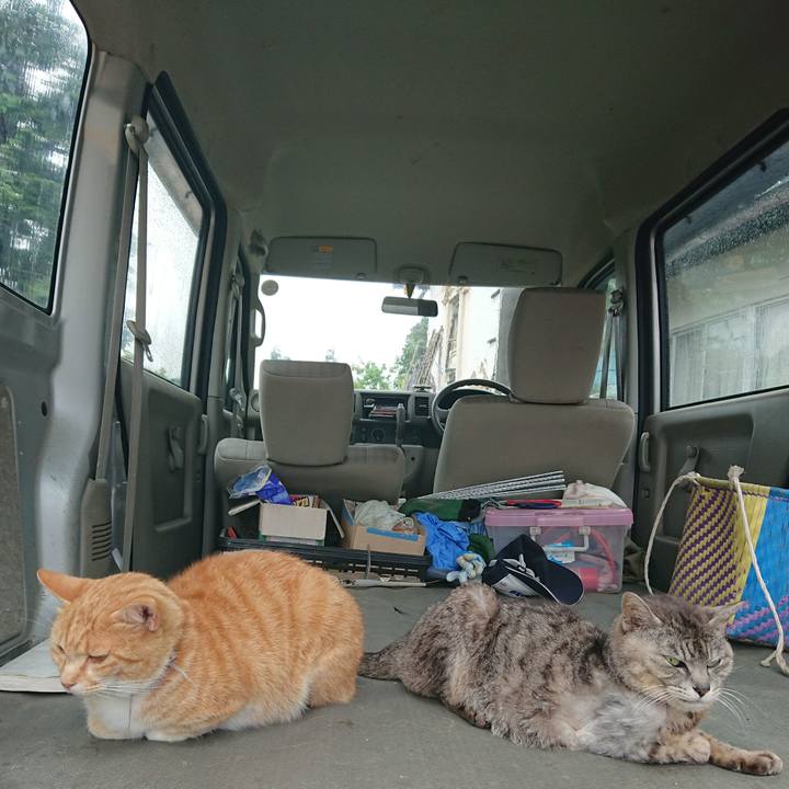 18a9c3fe 504f 4009 a753 635836005012 1592121979229