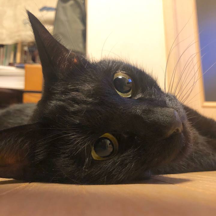 18aa1250 535b 40e8 91ee a1442f089444 1583663922547