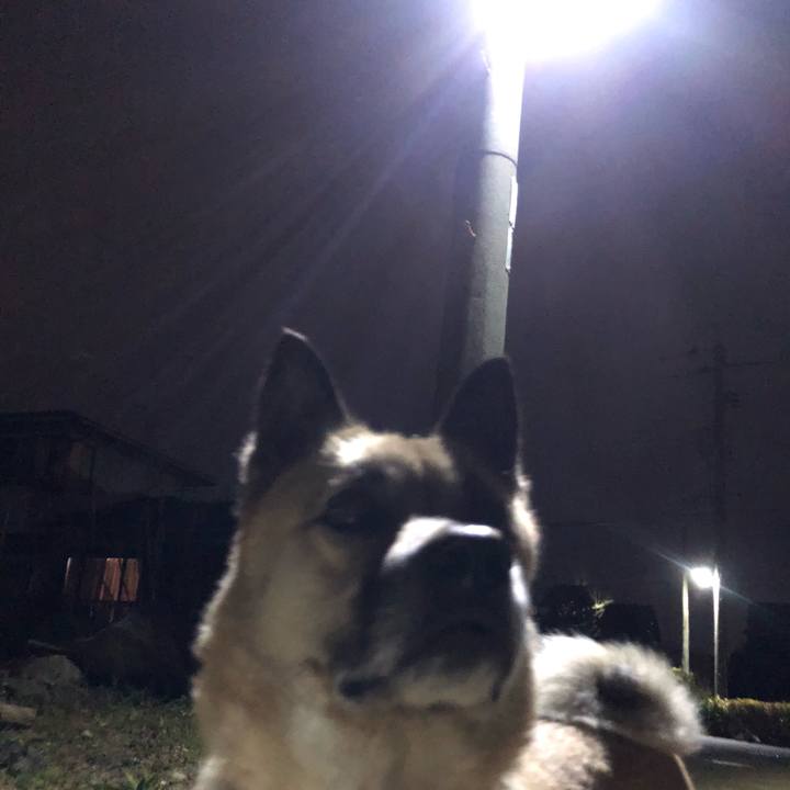 18aa2f47 79fb 4e63 bd39 acc0e6e97b95 1614340423749