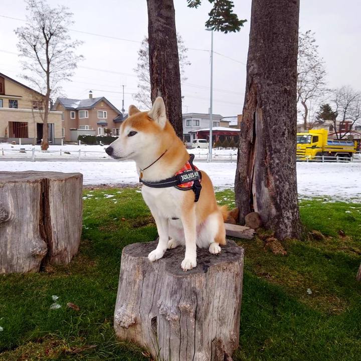 18aa2fb5 14fd 4924 9f46 2ff1e332e454 1639530617628