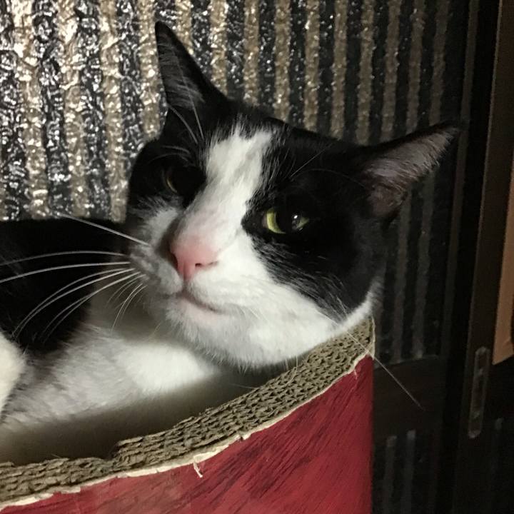 18aa6909 c7d9 4bf8 804f a37330e467fb 1748690391071