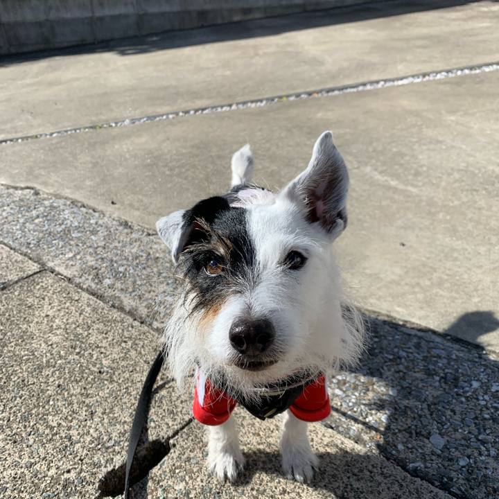 18aaadb2 0ccc 4faf a46a bcfcf31bc838 1740011932841