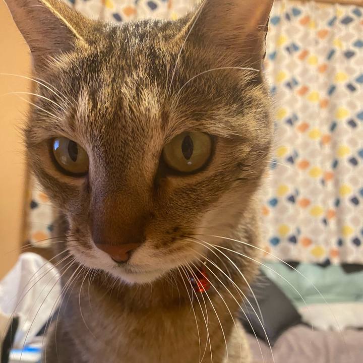 18aad289 b7b6 4e3b acd5 ca37f7fb4406 1612341238932