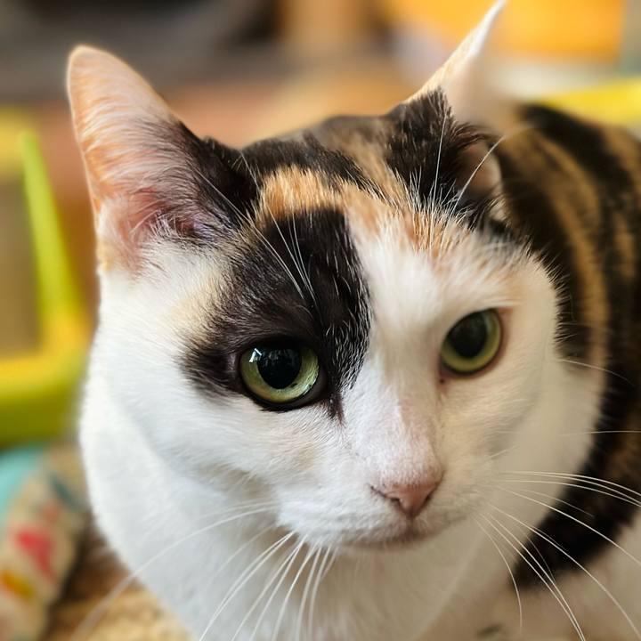 18ab1141 b22f 46c6 97f9 b7c2c6b186e3 1705714795808