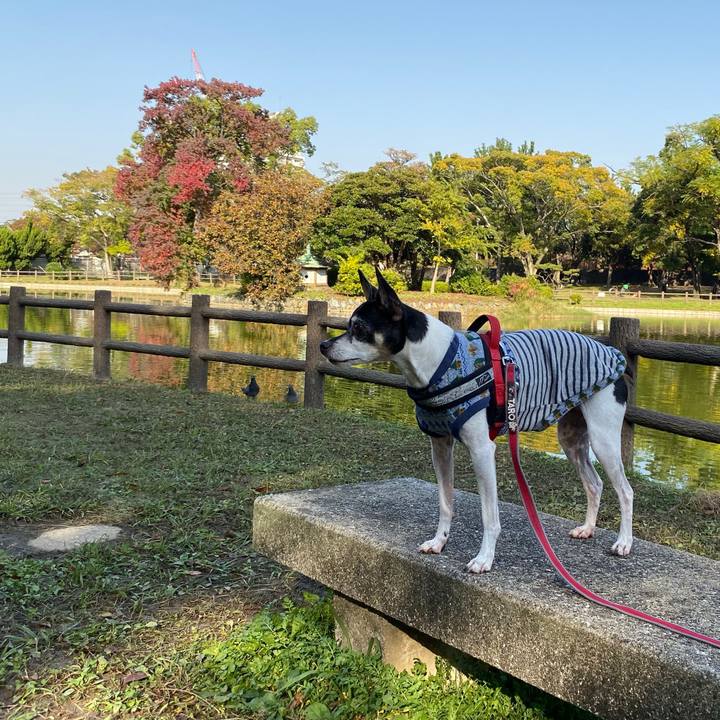 18ab1a99 672d 4d9e 9087 aae0850d7dfc 1573868286652