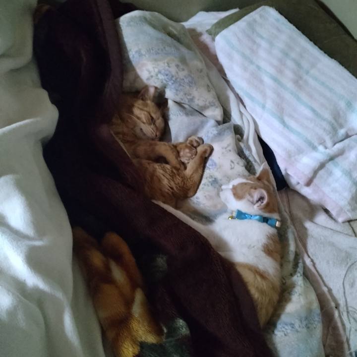 18ab2d43 7153 482e bb4f 56fbc7441a34 1733357344181