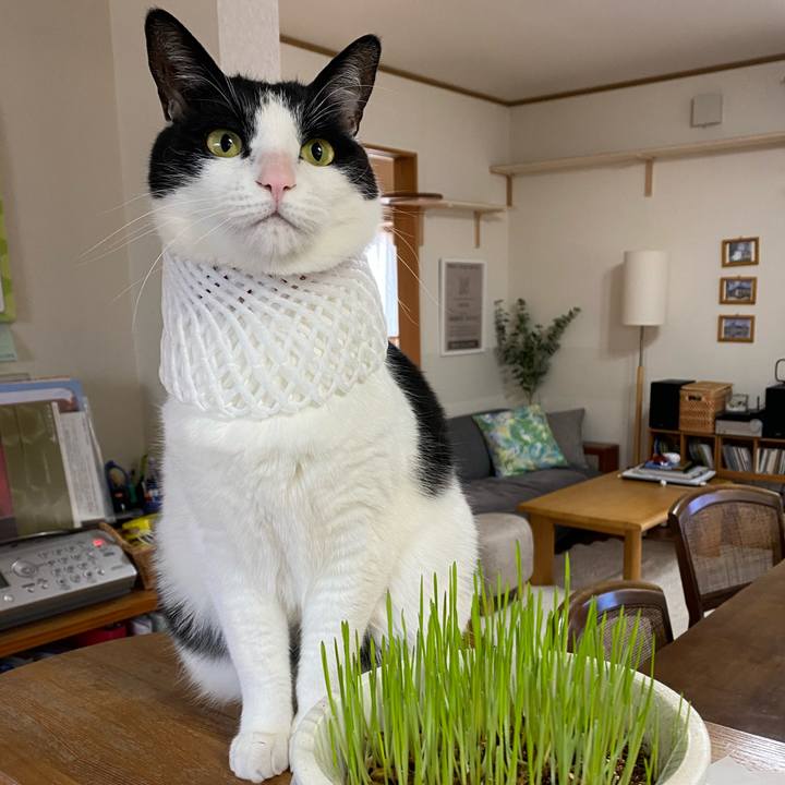 18ab2e2f 4df5 40f9 99d2 26acd96c8217 1617927082714