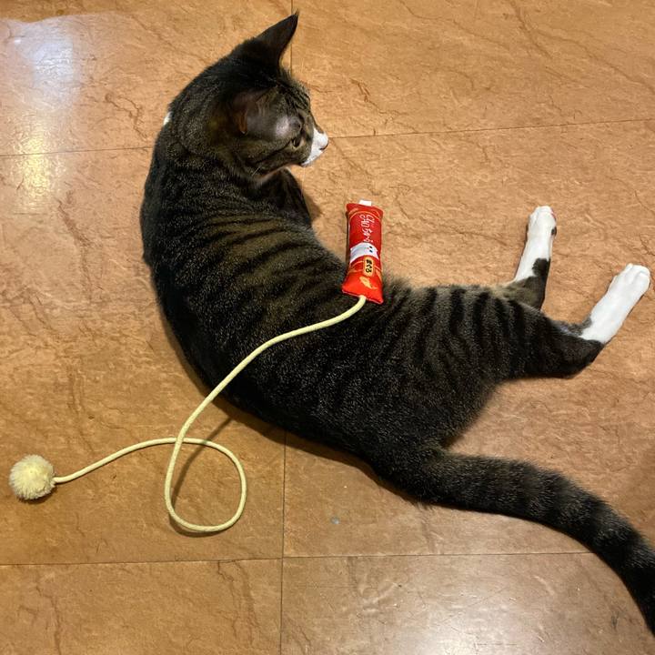 18ab9ad4 4442 4bbf af35 49757c4f1722 1682760396643