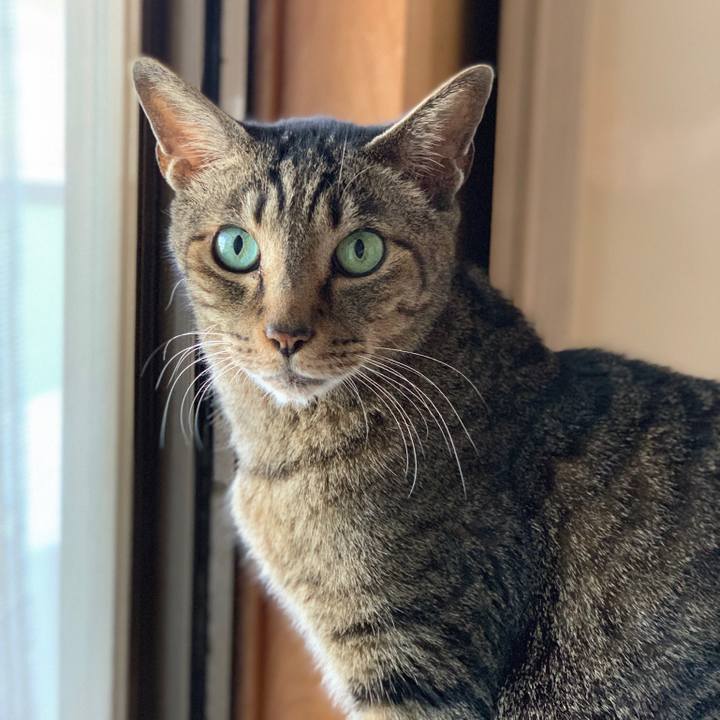 18aba4d8 1826 4a12 a20b 2787704df2d4 1557105493265