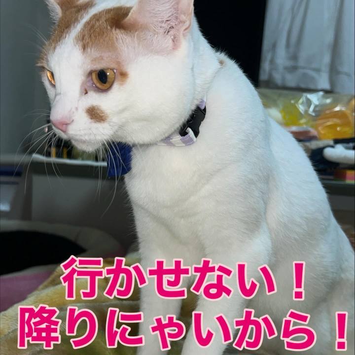 18abb4b6 4ff8 4af6 803e d0030ac59e67 1761668077474