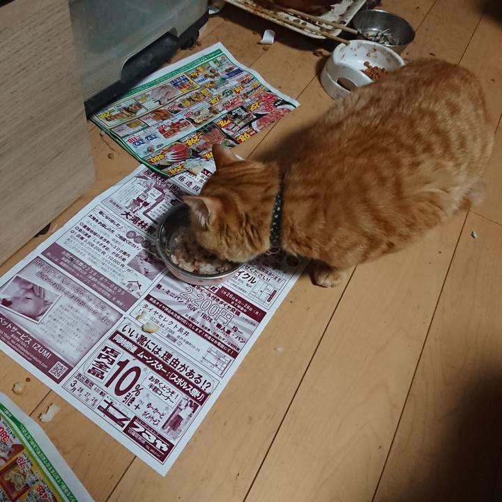 18abd7dc eace 4c34 aa85 fa799efc0881 1648417340854