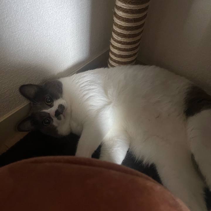 18ac0e41 8d36 43e9 b579 a82f730fc834 1690934704599