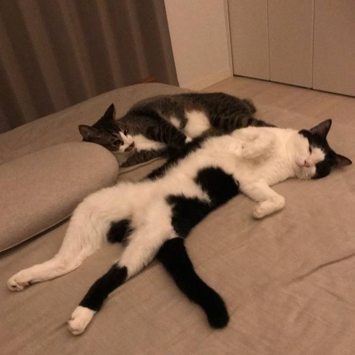 18ac2ae1 2be0 4006 9dc9 f9d9e5c9e2d6 1567868703210