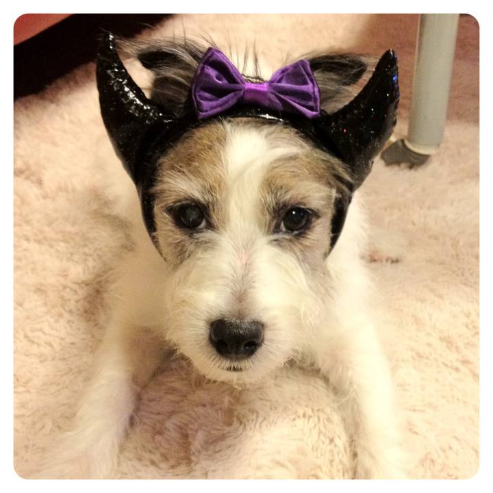 18ac8b5b 7aea 4dfe a334 16b2bf3508e5 1541066952845