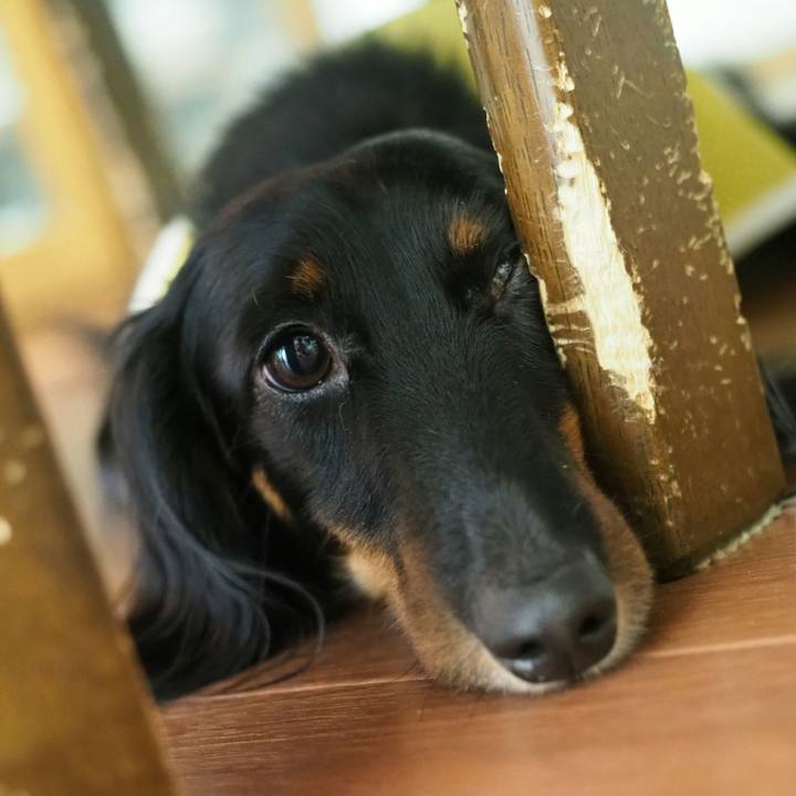 18aca373 5da7 4be6 8a36 6bffbfdbf0cd 1533951149938